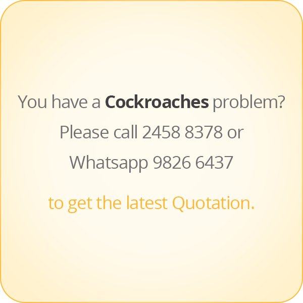 本頁圖片/檔案 - message-eng-Cockroach