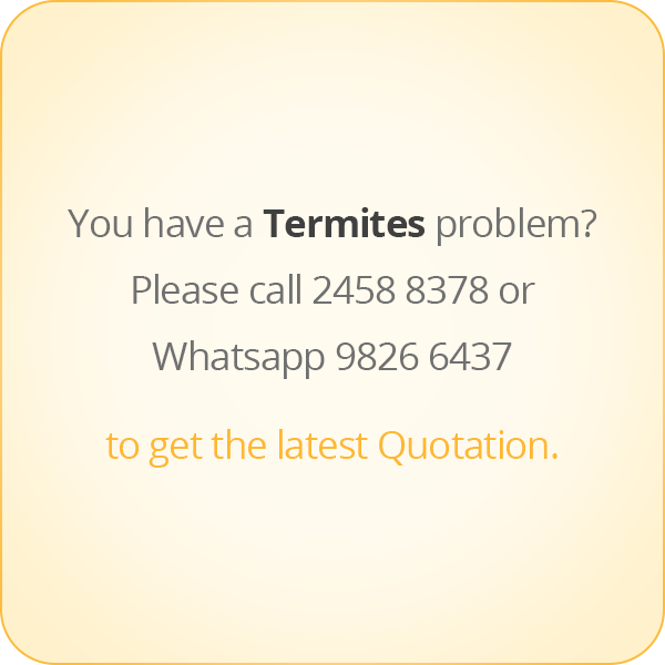 本頁圖片/檔案 - message-eng-Termite
