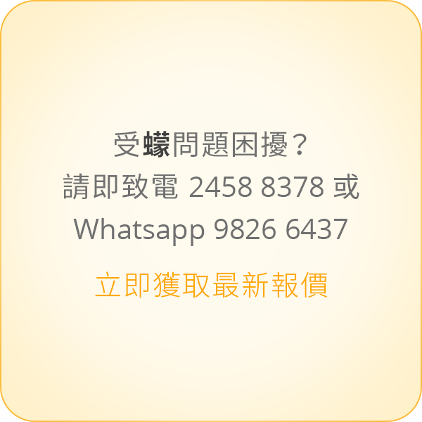 本页图片/档案 - message-1-tc