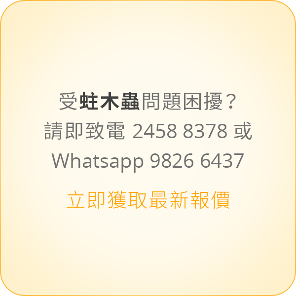 本頁圖片/檔案 - message-7-tc